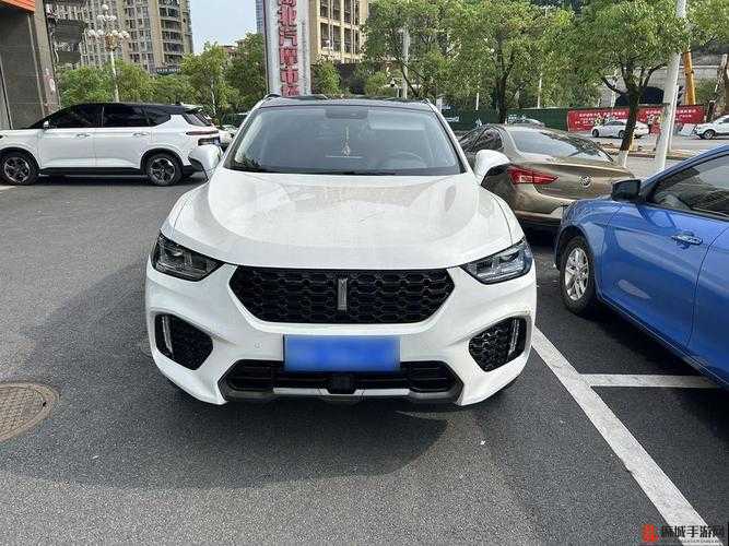WEYVV5 国产的 SUV 领袖：畅享极致驾驭体验