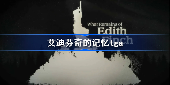 艾迪芬奇的记忆tga-艾迪芬奇的记忆奖项
