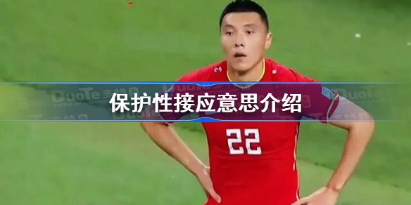 保护性接应是什么意思-保护性接应是什么梗