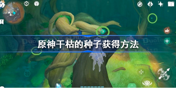 原神干枯的种子怎么获得-原神干枯的种子获得方法