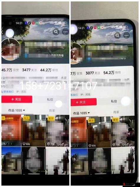 成品人短视频网站有哪些平台呢：深入探究与解析