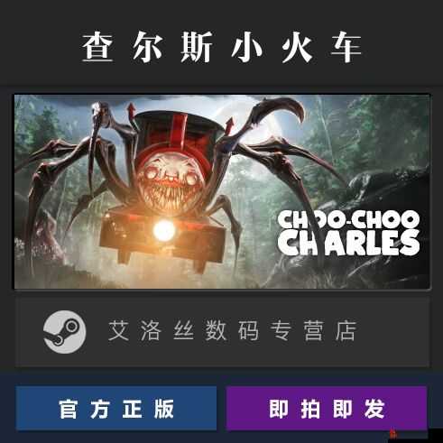 Steam平台小火车查尔斯游戏价格全面剖析与解读