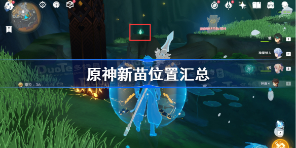 原神新苗在哪-原神新苗位置汇总