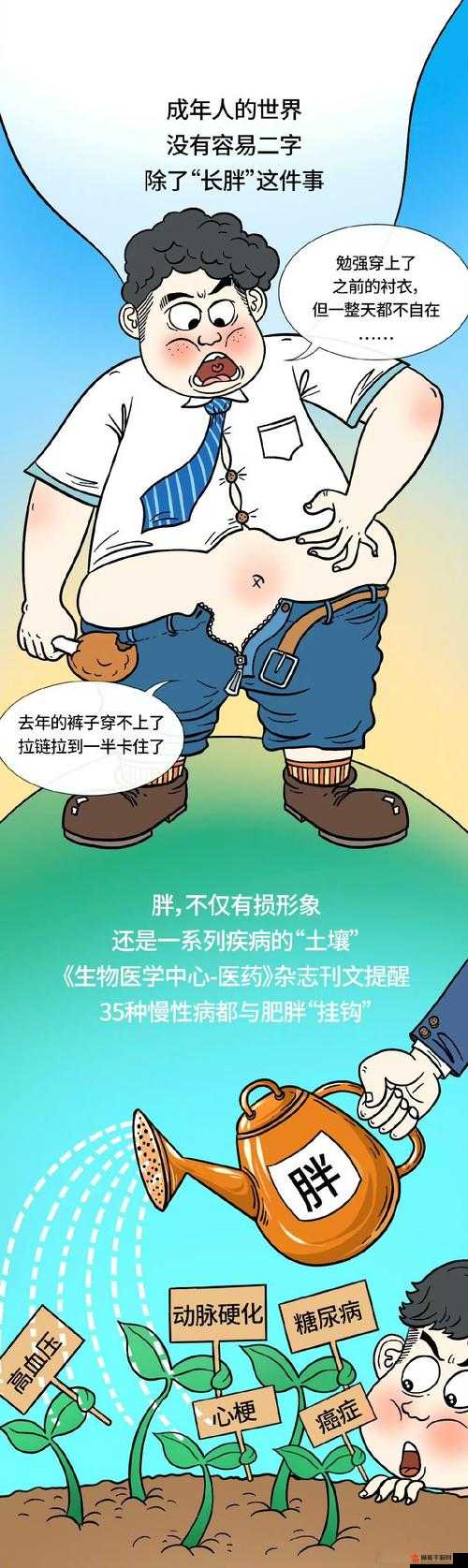 bbbbbxxxxx 肥胖：探究其形成原因与有效减肥策略