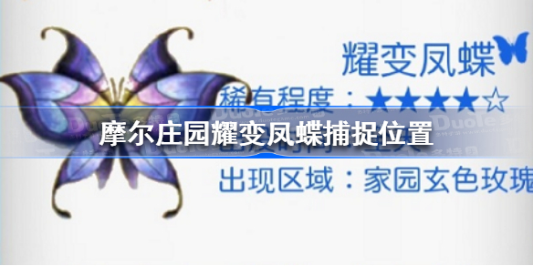 摩尔庄园耀变凤蝶在哪-摩尔庄园耀变凤蝶捕捉位置