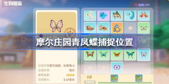 摩尔庄园青凤蝶在哪-摩尔庄园青凤蝶捕捉位置