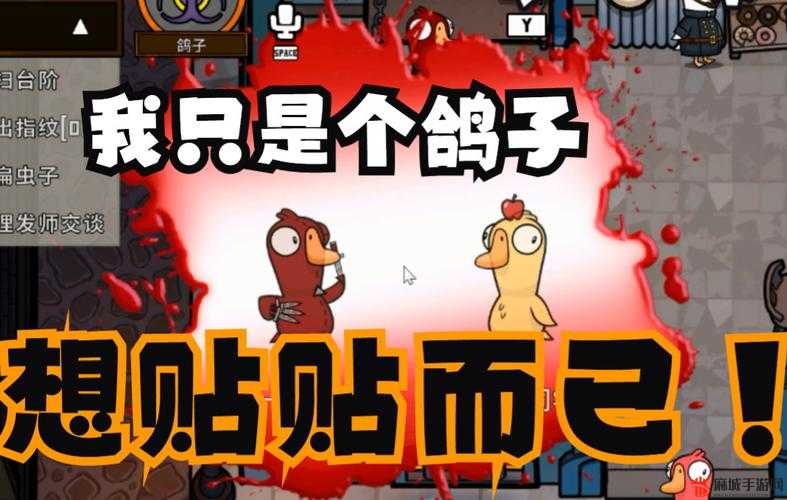 鹅鸭杀鸽子感染详解