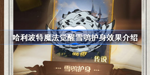 哈利波特魔法觉醒雪鸮护身效果是什么-哈利波特魔法觉醒雪鸮护身效果介绍