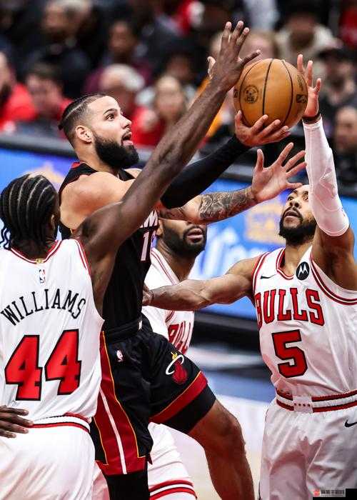 NBAOffice68 ：开启篮球数据统计与分析的精彩之旅