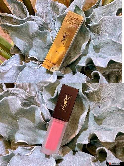 YSL 热门蜜桃色：时尚美妆界的甜蜜诱惑之选