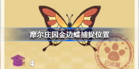 摩尔庄园金边蝶在哪-摩尔庄园金边蝶捕捉位置