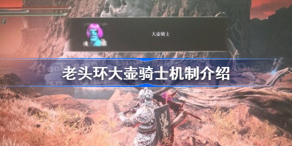 艾尔登法环大壶骑士是玩家吗-老头环大壶骑士机制介绍