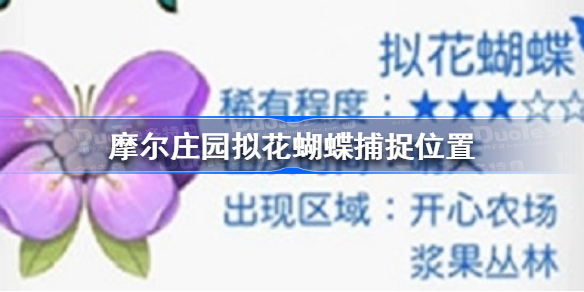 摩尔庄园拟花蝴蝶在哪抓-摩尔庄园拟花蝴蝶捕捉位置