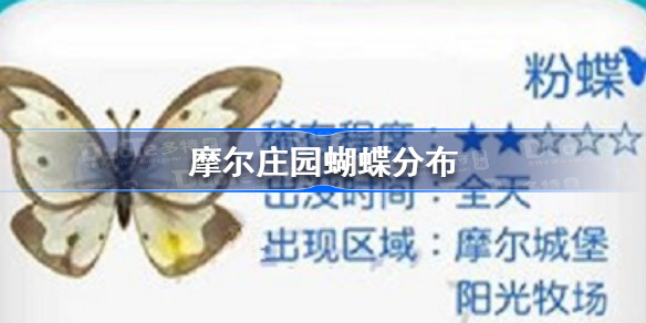 摩尔庄园怎么抓蝴蝶-摩尔庄园蝴蝶分布