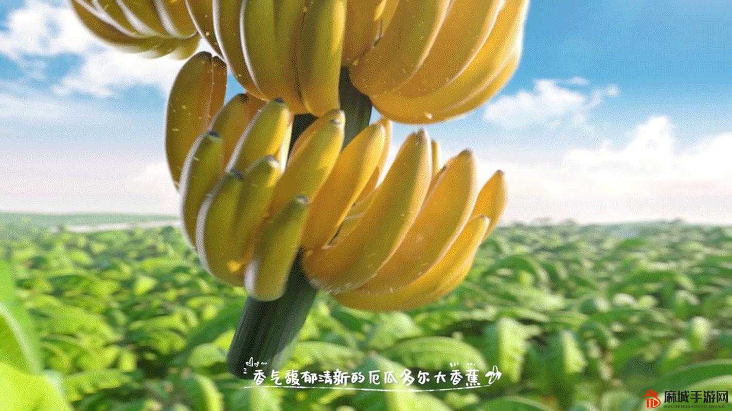 伊利大香蕉性生活：一场独特的奇妙体验之旅