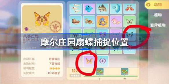 摩尔庄园扇蝶在哪抓-摩尔庄园扇蝶捕捉位置