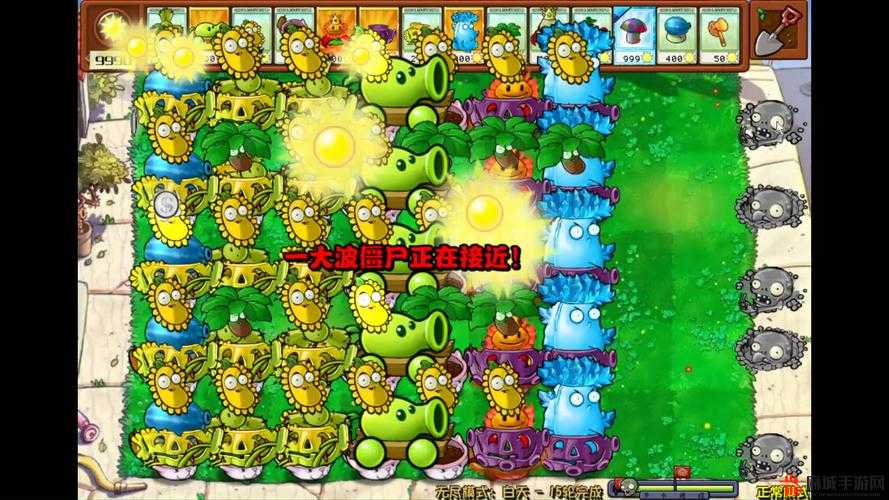 植物大战僵尸无尽模式，打造最强防御与攻击组合阵容推荐
