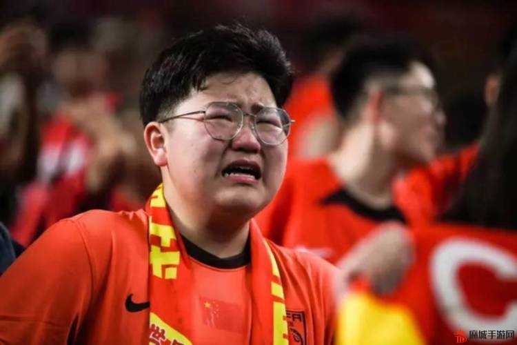 韩国球迷用7比1嘲讽巴西，一场自取其辱的挑衅
