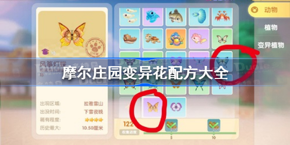 摩尔庄园变异花配方是什么-摩尔庄园变异花配方大全