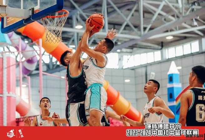 China 篮球体育手冲网站 2024 精彩赛事与热血激情等你见证