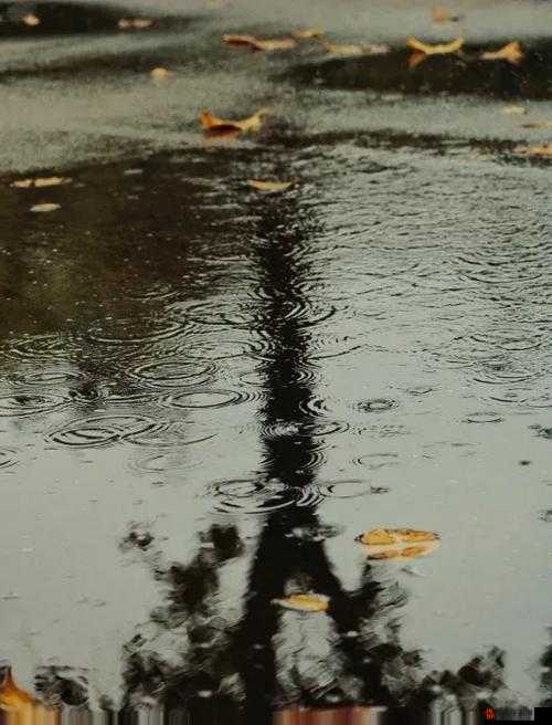 室外春雨绵绵室内欢声依旧：描绘温馨场景中的美好时光