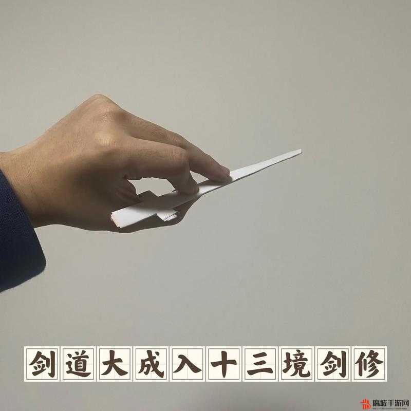 蜀山初章剑修功法搭配全攻略，打造你的绝世剑客