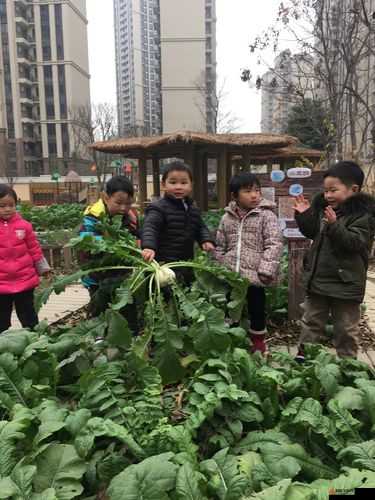 拔萝卜不改盖被子怎么办：这可真是个棘手的问题需要好好思考解决办法