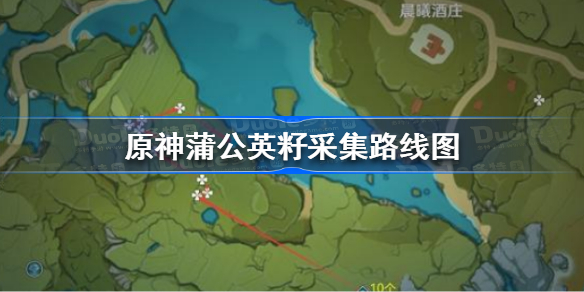 原神蒲公英籽哪里采集-原神蒲公英籽采集路线图