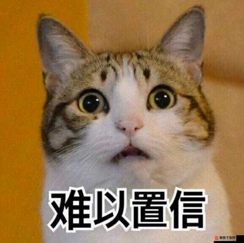 不可思议难以置信天美阿姨的惊人秘密