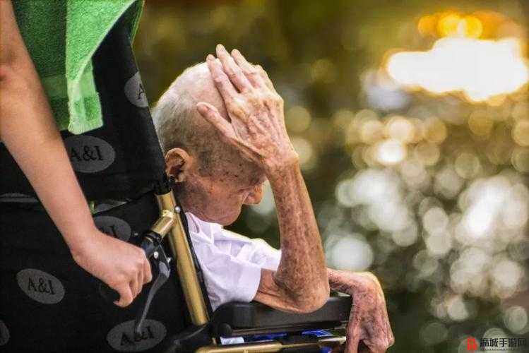 窝人 XXHd：探索人性的深度与复杂性