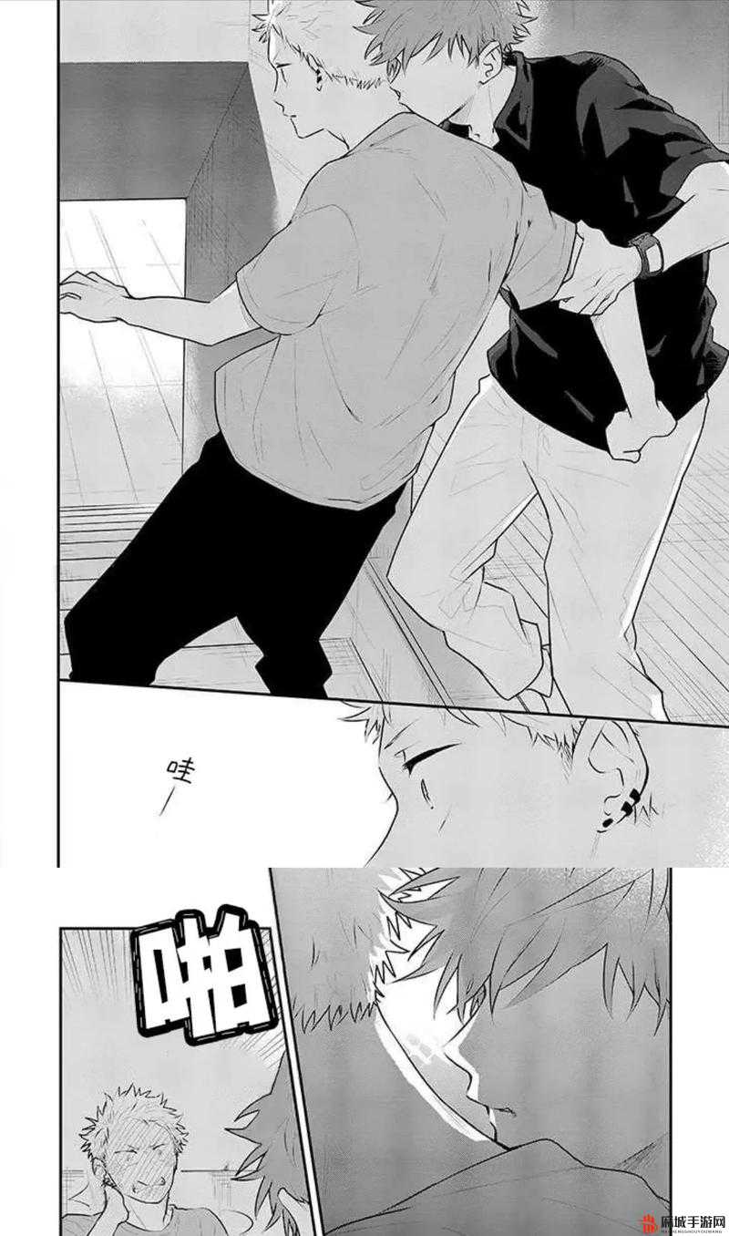 双男主 1v3 上岸：谁与争锋