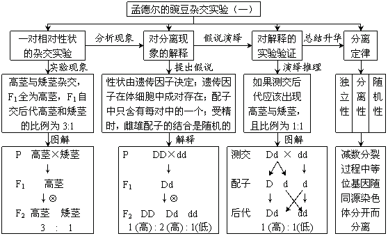 人马能否自交这一科学问题的探讨与思考