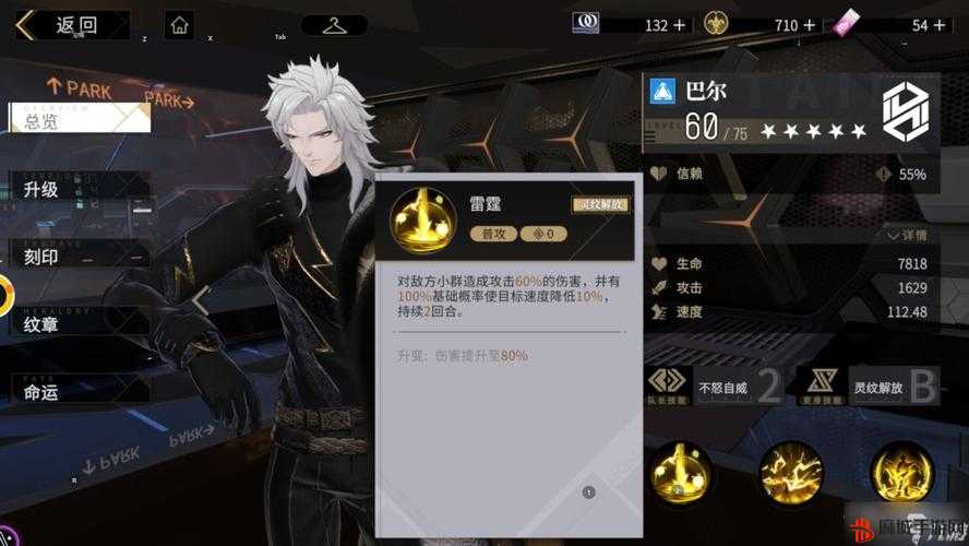 非匿名指令无罪典刑，全面攻略与实战技巧