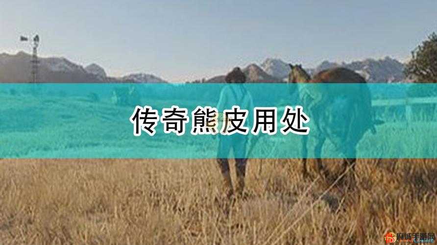荒野大镖客2游戏中传说熊皮获取后处理与利用方法全面详解