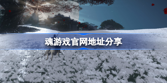 魂游戏官网地址分享-魂游戏官网地址在哪