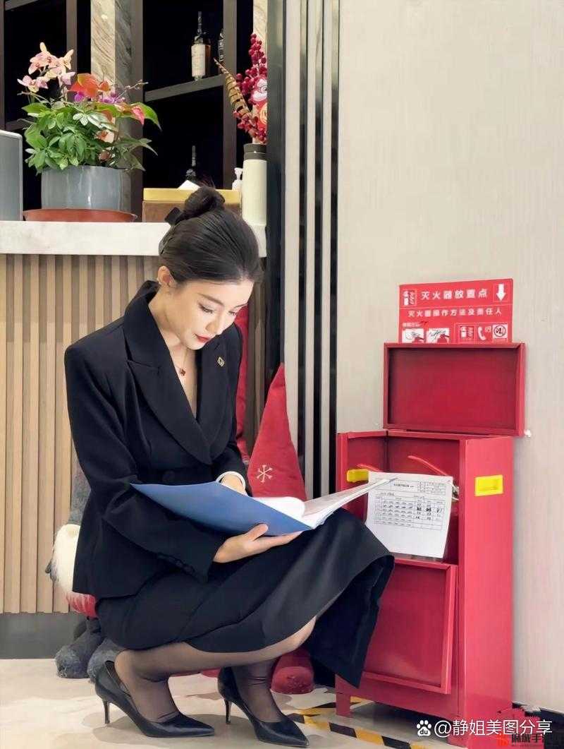美丽的售楼小姐 6：她的魅力与专业风采