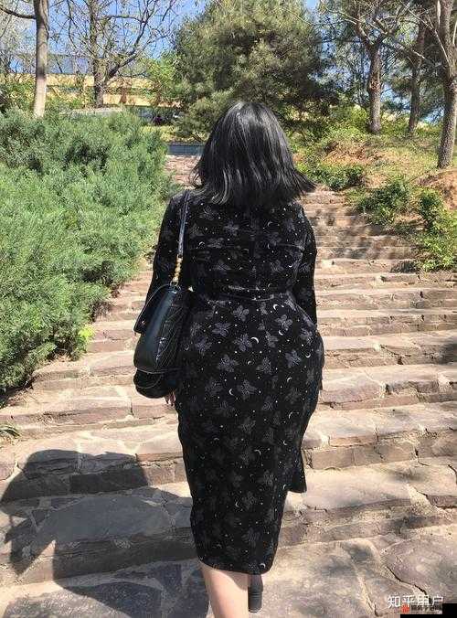 欧美 BBWW 的精彩故事与独特魅力