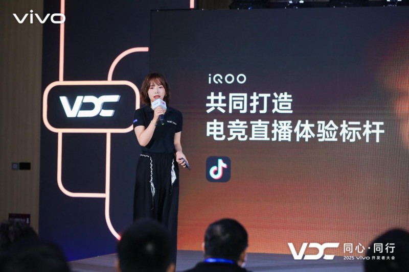 2025 VDC游戏技术分会召开,**技术创新定义游戏新体验