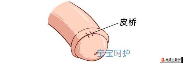 男人割皮包后为何要手举着样子是怎样的