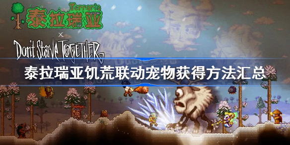 泰拉瑞亚饥荒联动宠物获得方法汇总-饥荒联动宠物怎么获得