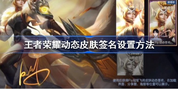 王者荣耀动态皮肤签名怎么设置-王者荣耀动态皮肤签名设置方法