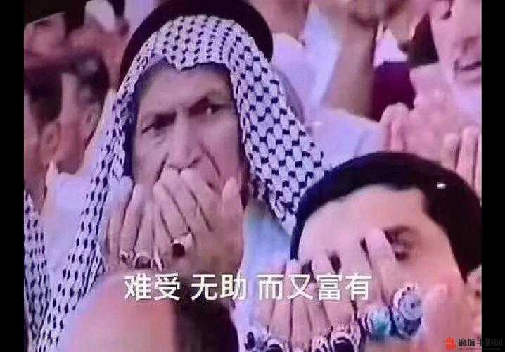 揭秘网络热梗富贵不能赢，起源、含义及流行背后的故事