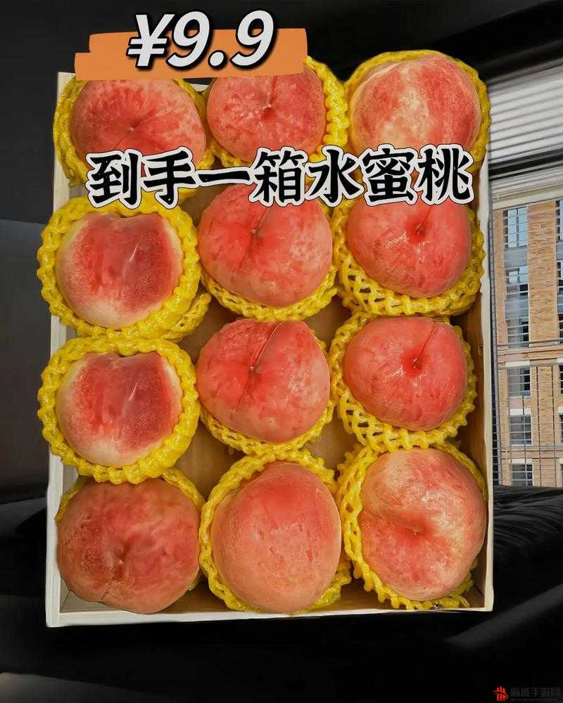 水蜜桃 8844：关于水蜜桃 8844 的详细介绍与深入分析