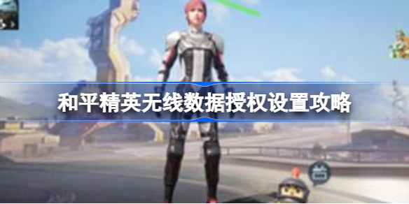 和平精英无线数据怎么进行授权-和平精英无线数据授权设置攻略
