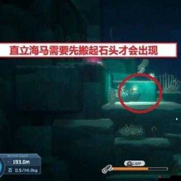 潜水员戴夫游戏攻略，全面掌握潜水员戴夫捕捉海马的方法详解