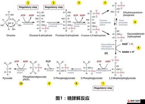 1v2 高 HP 系统揭秘：深入剖析其背后的复杂机制与隐藏细节