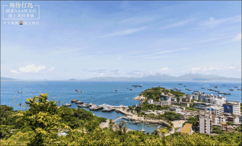大菠萝 APP 福引导前往：畅享精彩福利之旅
