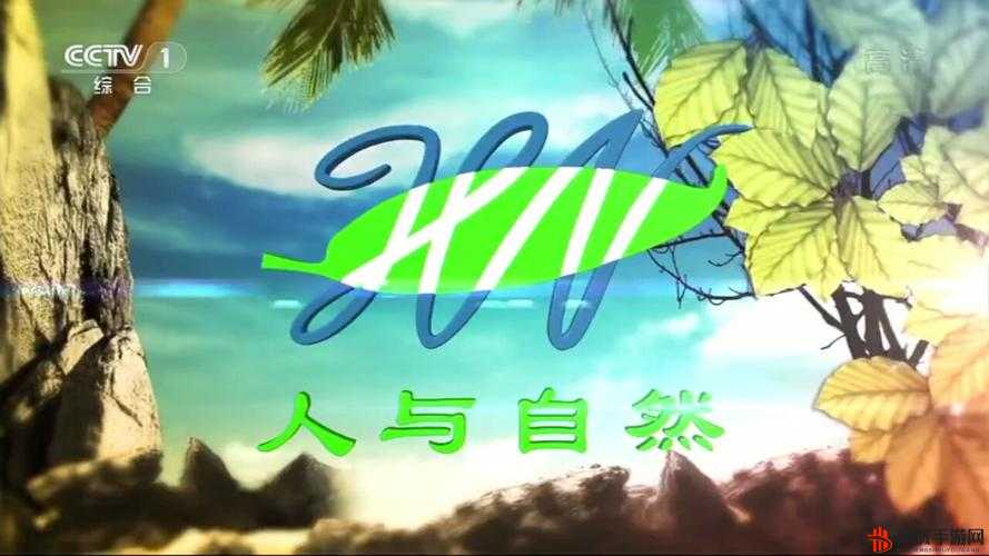 户外插BBBBB：探索自然与身心融合的奇妙之旅