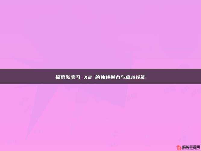 www.XXXXX ：探索其独特魅力与价值