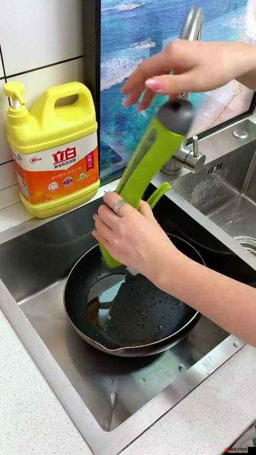 揭秘！大多数家庭洗盘子高效圣地与实用攻略全面大公开